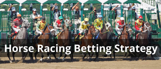 Estratégia de apostas em corridas de cavalos: dicas e truques para o sucesso